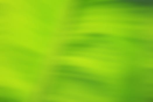 Banana Leaf Artistic blur style - De focused urban abstract texture background for your design 