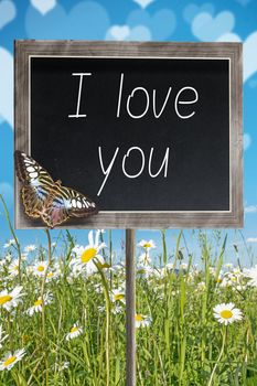 Blank chalkboard on a meadow with text I love you