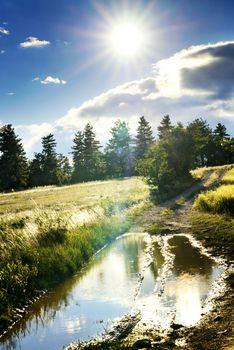 
dirt road after rain in the countryside of France in the Alpes de Haute Provence