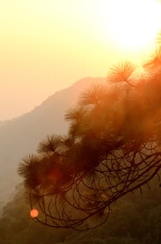 Sunset at mountain, Phu Kra Dueng, Loei, Thailand