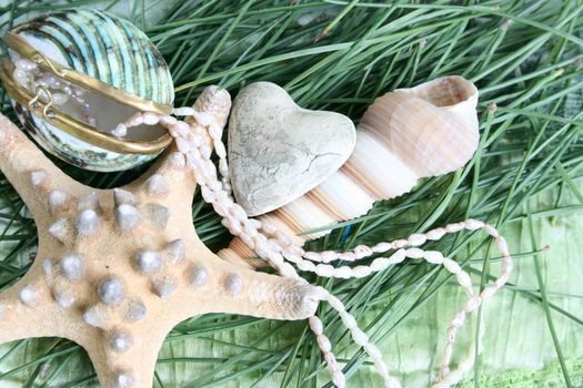 Variety of seashells and jewelery on green background