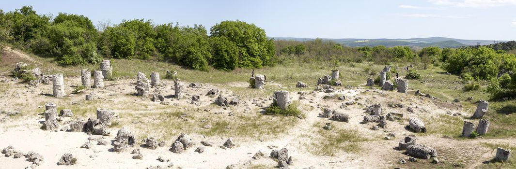 Panorama of Pobiti Kamani (Standing Stones, Stone Forest) Unique Natural Rock Phenomenon, Varna, Bulgaria