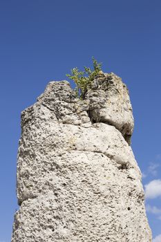 Pobiti Kamani (Standing Stones, Stone Forest) Unique Natural Rock Phenomenon, Varna, Bulgaria