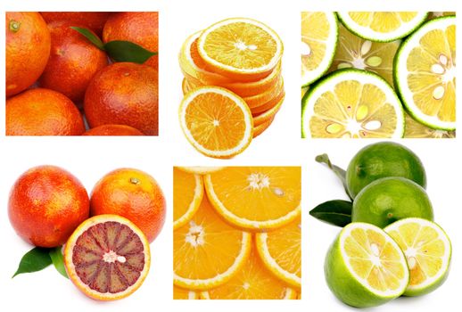 Collection of Citrus Fruits with Blood Oranges, Orange Fruits and Abkhazian Lemons Full Body, Slices and Backgrounds