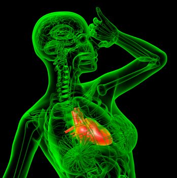 3d render medical illustration of the heart - side view