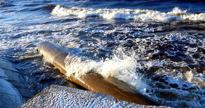 Ecology of the Baltic sea coast . Latvia