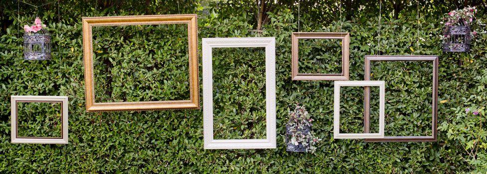 Blank photo frames against green small tree wall.