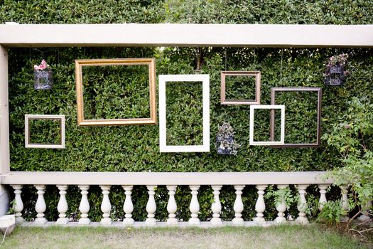 Blank photo frames against green small tree wall and white fence.