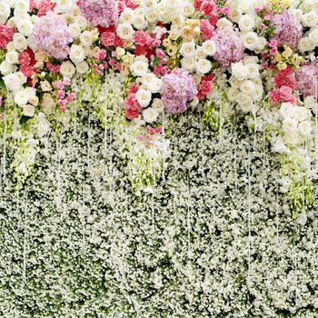 Colorful flowers with green wall for wedding backdrop