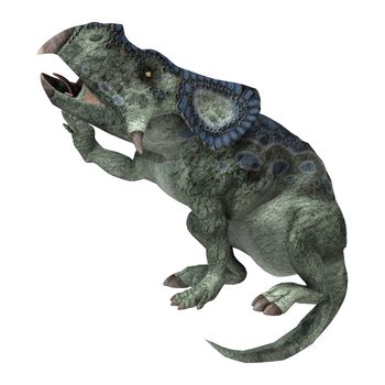 3D digital render of a dinosaur protoceratops isolated on white background