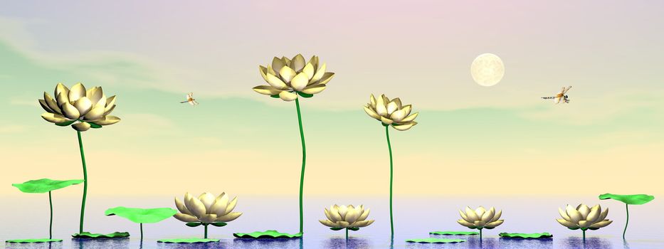 Pink lily flowers and leaves upon water by clear night with full moon - 3D render