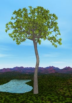 Glossopteris tree by day - 3D render