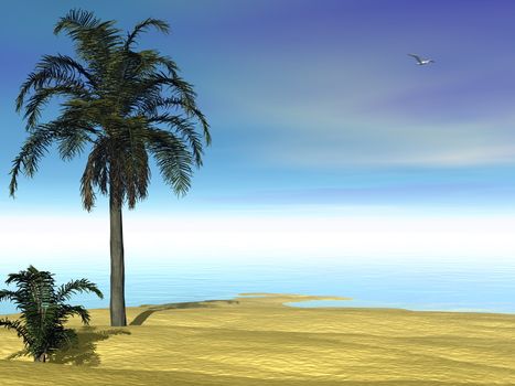 Palm trees, beach and ocean by beautiful day - 3D render