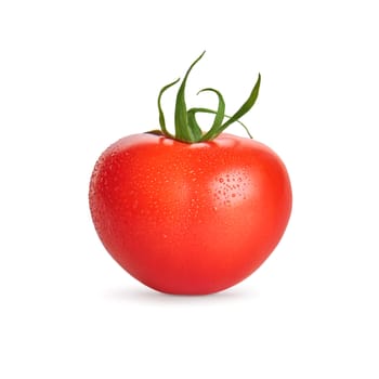 Fresh wet tomato vegetable with water drops isolated on white background