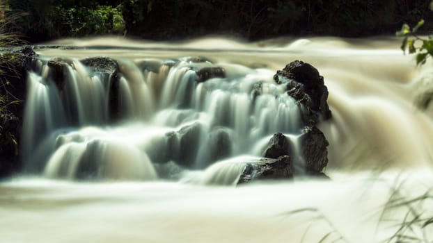 The Awash River flowing through the dense vegetation in the Rift Valley area of Ethiopia