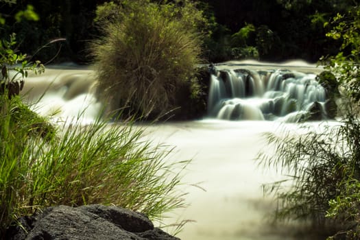 The Awash River flowing through the dense vegetation in the Rift Valley area of Ethiopia