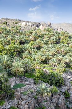 Image of Misfah al abreyeen in Oman