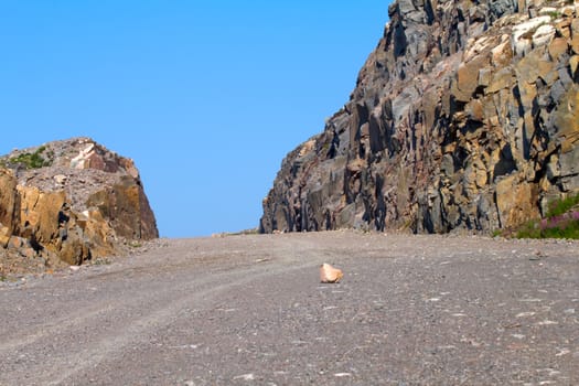 way is paved among rocks