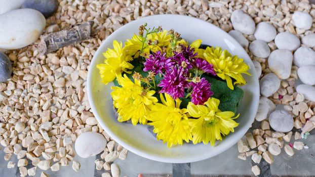 lower in a vase (bowl) on pebbles background.