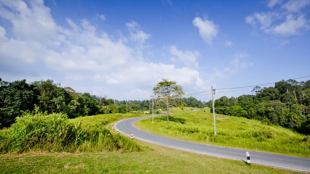 beautiful view of the sunshine in a field on a rural road