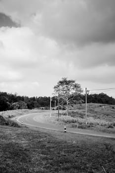 Black and white beautiful view of the sunshine in a field on a rural road