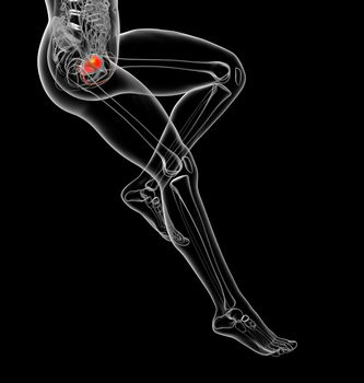 3d render medical illustration of the human bladder - side view