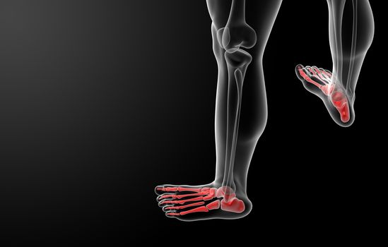 3d render x-ray of foot - top view
