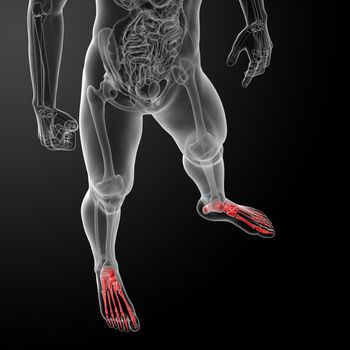 3d render x-ray of foot - top view