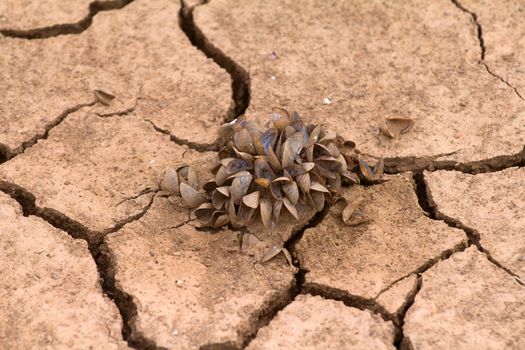 sea dried up and everything receded died