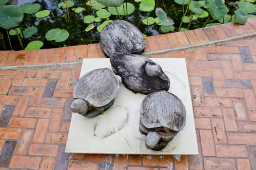Wooden turtles decorate in garden