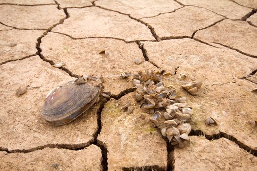 sea dried up and everything receded died