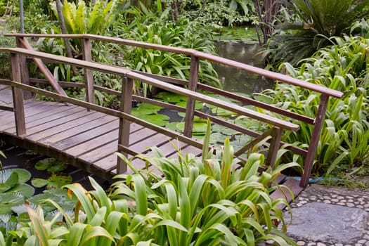 wooden bridge in a beautiful garden.