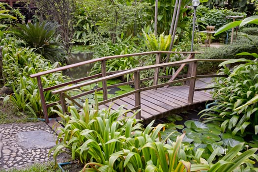 wooden bridge in a beautiful garden.