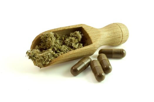 Homeopathy. Healing herbs with scoop and herbal pills