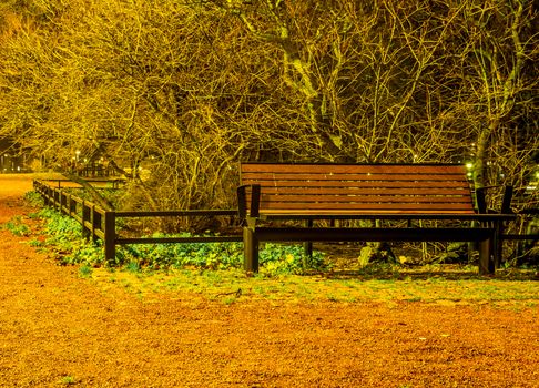 Red bench in the park at night