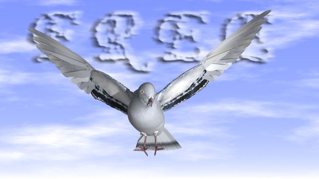 Free Dove in the air with wings wide open in-front of the blue sky