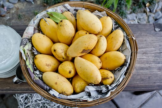 Mangoes in the basket