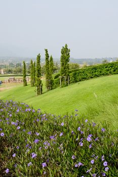 Beautiful flower and tree gardens on the hill.