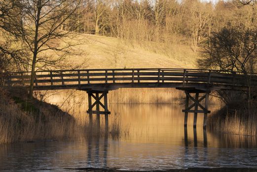 golden evening sunlight in nature park with bridge and water