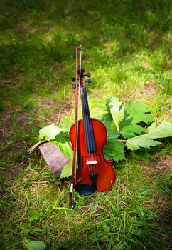 Violin on a grass and green leaves around.