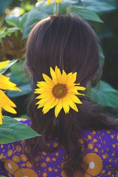 Young woman with sunflower in her hands. Back view.