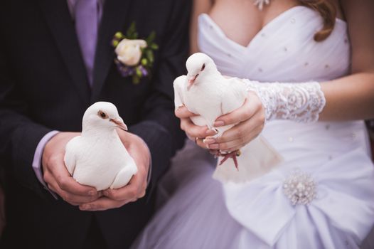 bride and groom holding two white pigeons 