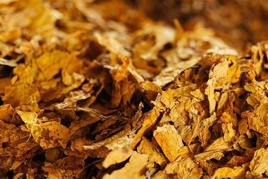 Bulk tobacco background in a factory warehouse