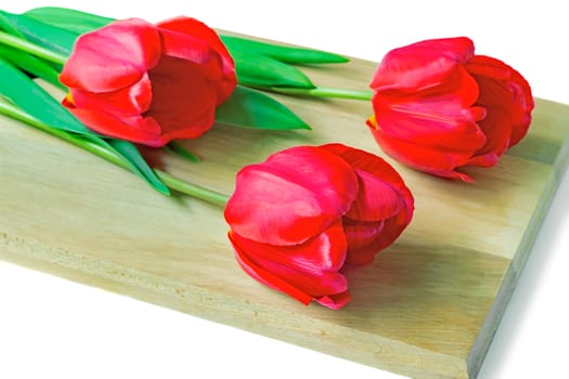 Three large beautiful Tulip red color with green leaves on a white background.