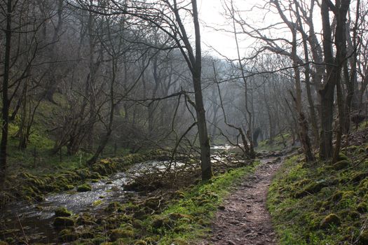 the river running through lathkill dale in the peak district national park