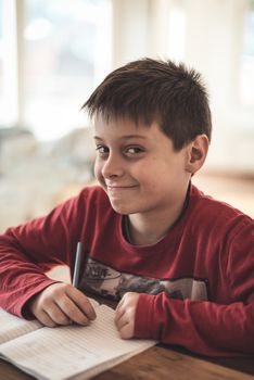 Boy doing homework at home