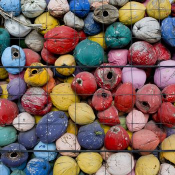 colorful waste of coconut husks in grate background texture.
