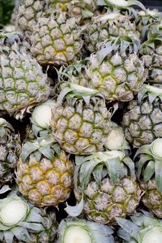 Close up mini pineapple background texture.- small size pineapples