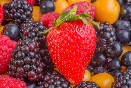 Up Close view of fresh berries of different types, all mixed together.