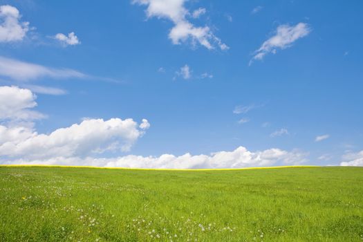 lanscape with field, grass and sky in southern bohemia, czech republic